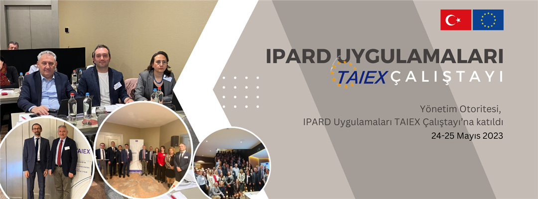 Yönetim Otoritesi, IPARD Uygulamaları TAIEX Çalıştayı’na katıldı