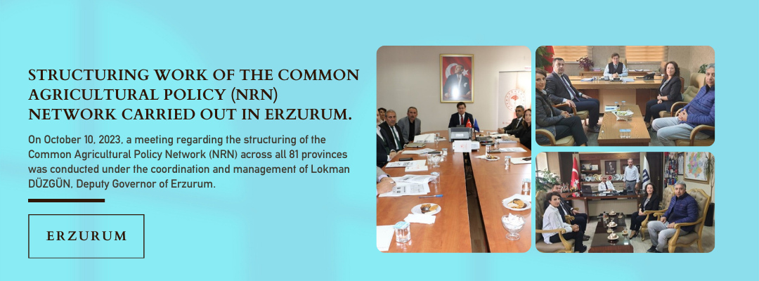 STRUCTURING WORK OF THE COMMON AGRICULTURAL POLICY (NRN) NETWORK CARRIED OUT IN ERZURUM.