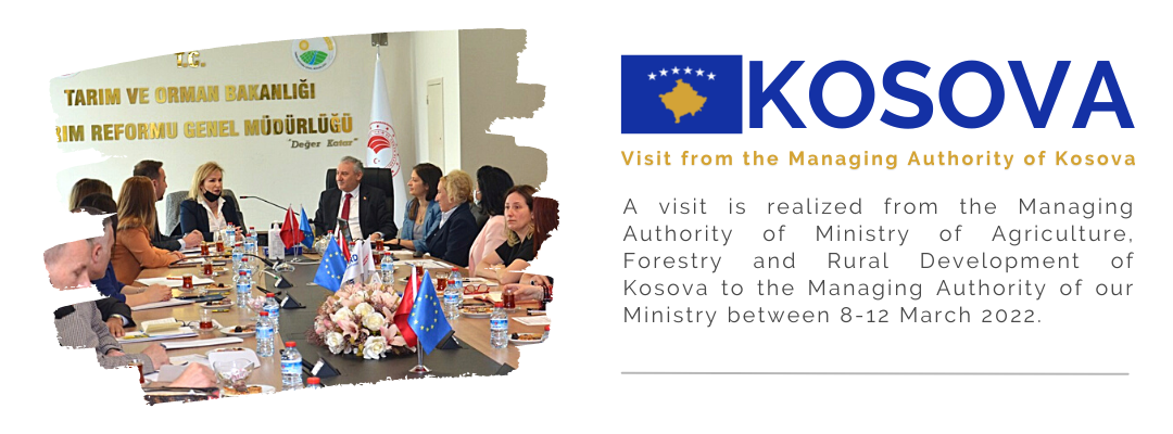 Visit from the Managing Authority of Kosova
