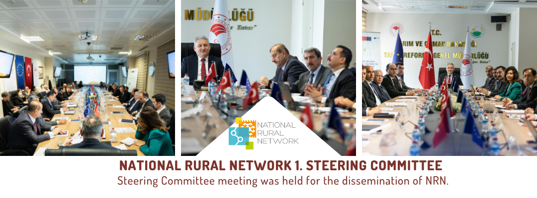 Steering Committee meeting was held for the dissemination of NRN
