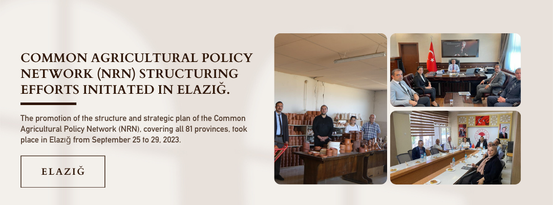 COMMON AGRICULTURAL POLICY NETWORK (NRN) STRUCTURING EFFORTS INITIATED IN ELAZIĞ.