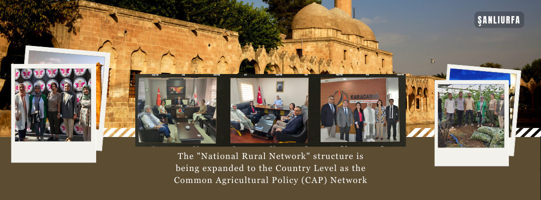 The "National Rural Network" structure is being expanded to the Country Level as the Common Agricultural Policy (CAP) Network