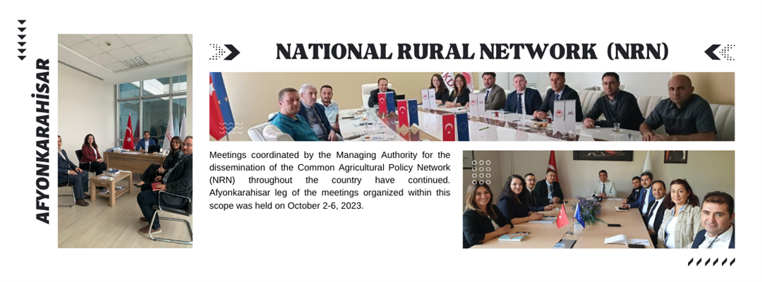 THE "NATIONAL RURAL NETWORK" STRUCTURE IS BEING EXPANDED TO THE COUNTRY LEVEL AS THE COMMON AGRICULTURAL POLICY NETWORK 