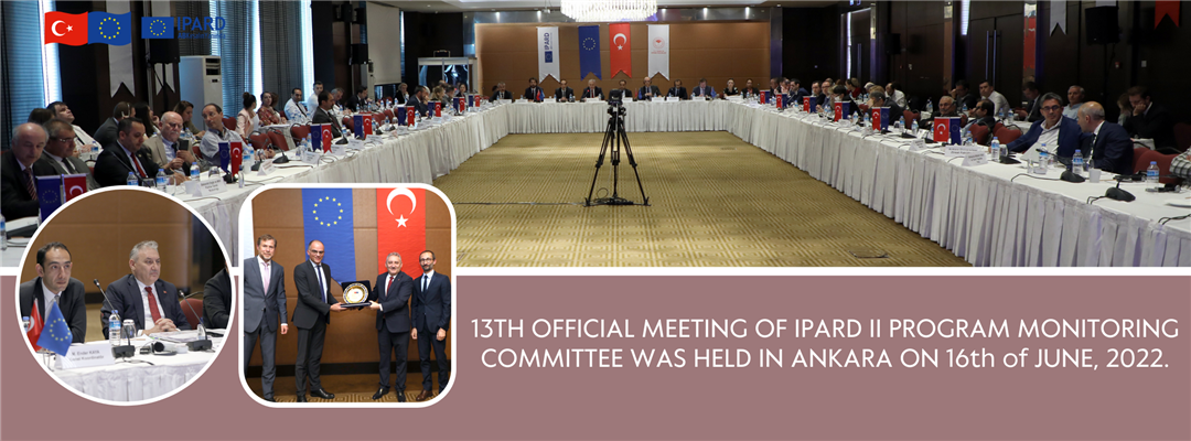 13TH OFFICIAL MEETING OF IPARD II PROGRAM MONITORING COMMITTEE WAS HELD IN ANKARA ON 16th of JUNE, 2022.