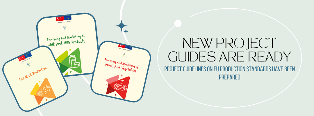 PROJECT GUIDELINES ON EU PRODUCTION STANDARDS HAVE BEEN PREPARED