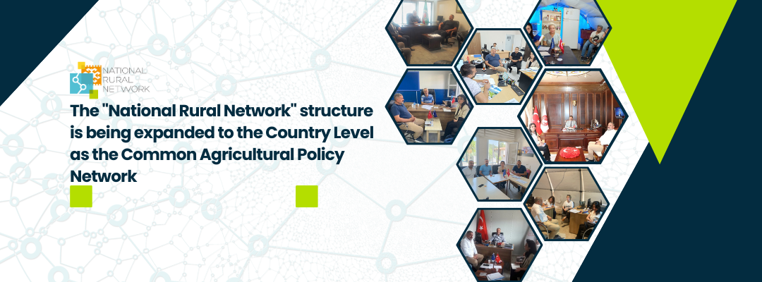 The "National Rural Network" structure is being expanded to the Country Level as the Common Agricultural Policy Network 